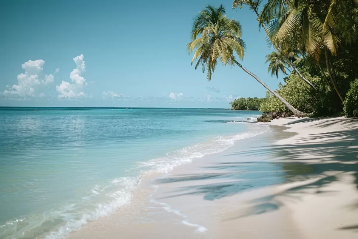Planning a relaxing beach vacation in Martinique with crystal clear waters.
